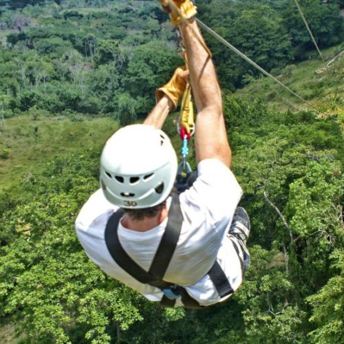 Monkey Jungle Zip Lining