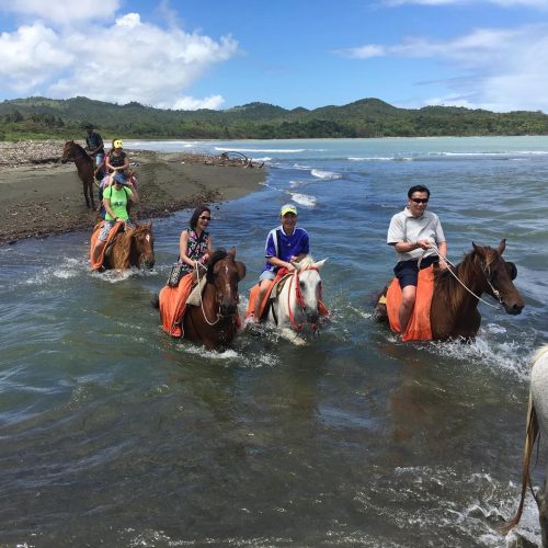 caballo 2