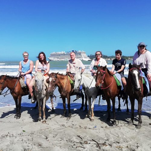 caballo 4